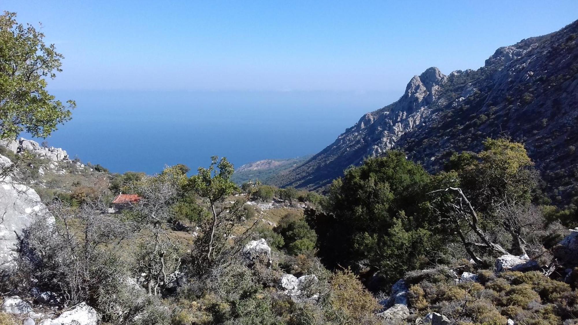Zorbas Volissos