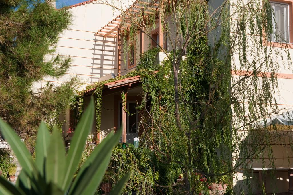 Apartmán Zorbas Volissos